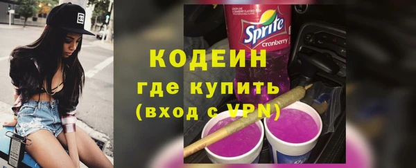 соль ск Бородино