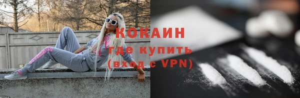 прущие грибы Бронницы