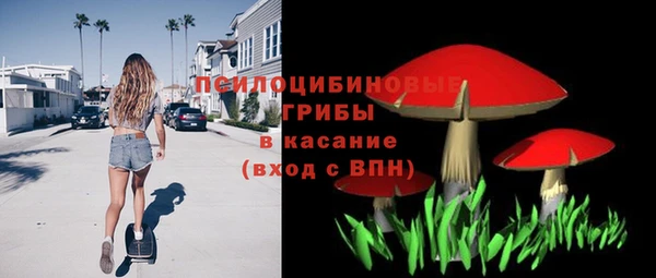 соль ск Бородино