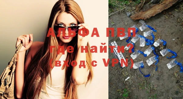 прущие грибы Бронницы