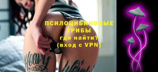 соль ск Бородино