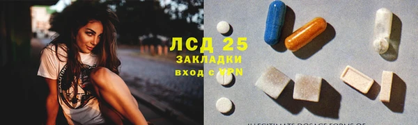 прущие грибы Бронницы