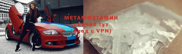 прущие грибы Бронницы