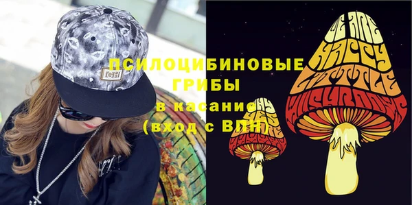 соль ск Бородино