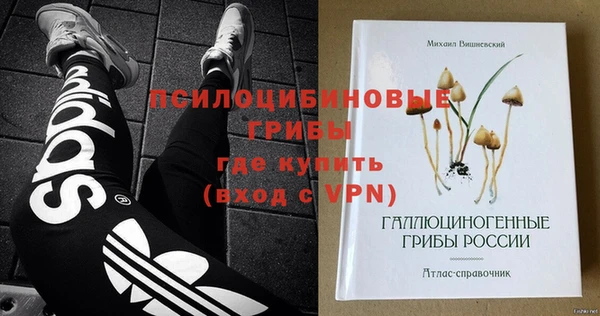 прущие грибы Бронницы