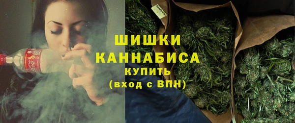 соль ск Бородино