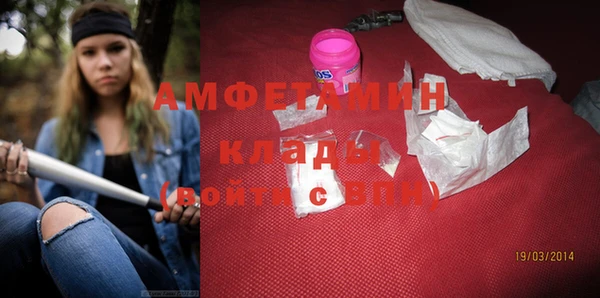 прущие грибы Бронницы
