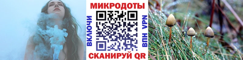 Псилоцибиновые грибы прущие грибы  продажа наркотиков  MEGA зеркало  Карпинск 